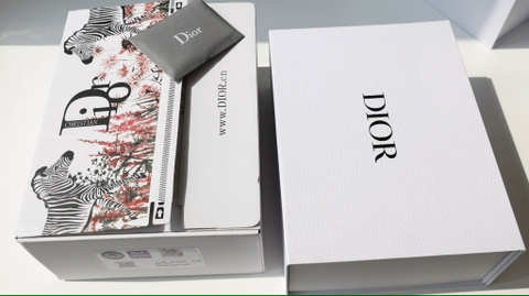 Túi Dior Lady Da Lì Khóa Vàng Size 20cm Có 2 Hộp