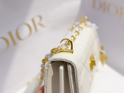 Túi Dior Caro mini Khóa Vàng Size 19cm Có 2 hộp