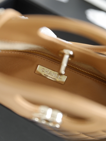 Túi X C31 Hobo Da Lì Size 24cm Có 2 hộp