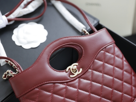 Túi X C31 Hobo Da Lì Size 24cm Có 2 hộp