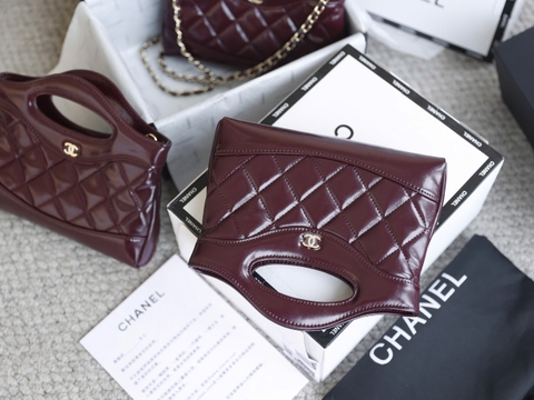 Túi xách X C31 Hobo Da Lì Size 21Cm Có 2 hộp