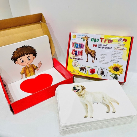 Bộ thẻ học Flash Card dạy trẻ về thế giới xung quanh