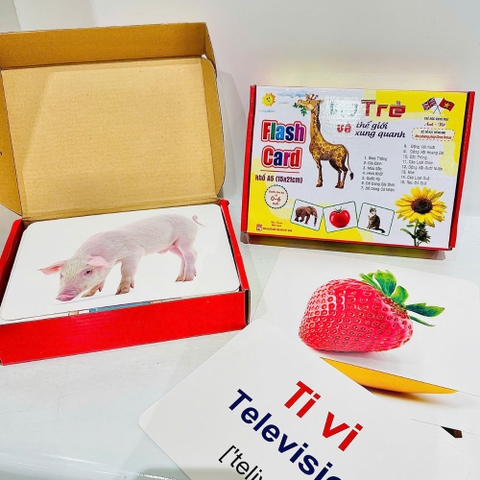 Bộ thẻ học Flash Card dạy trẻ về thế giới xung quanh