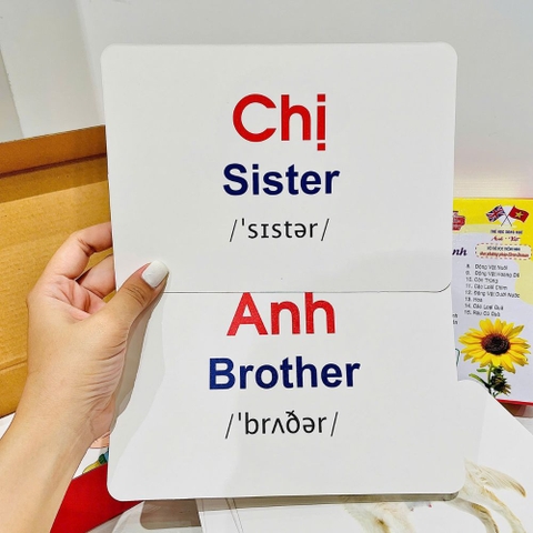 Bộ thẻ học Flash Card dạy trẻ về thế giới xung quanh
