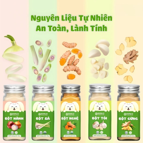 Bột gia vị Anpaso cho bé 6M+