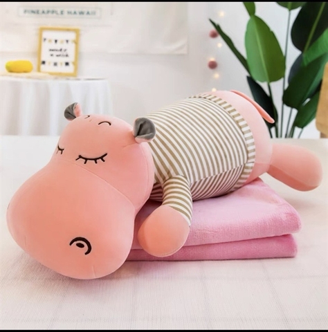 Gấu Bông Kèm Chăn Cao Cấp Đáng Yêu