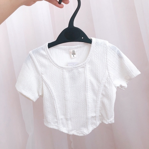 Áo croptop ngắn tay vạt bầu