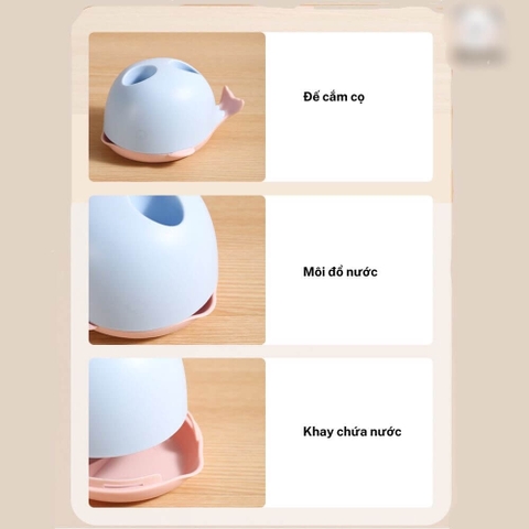 Bộ cọ rửa bình cá heo set 3 chi tiết