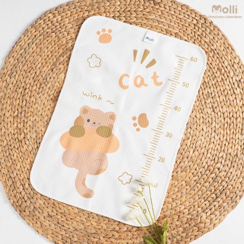 Tấm lót chống thấm 4D Molli