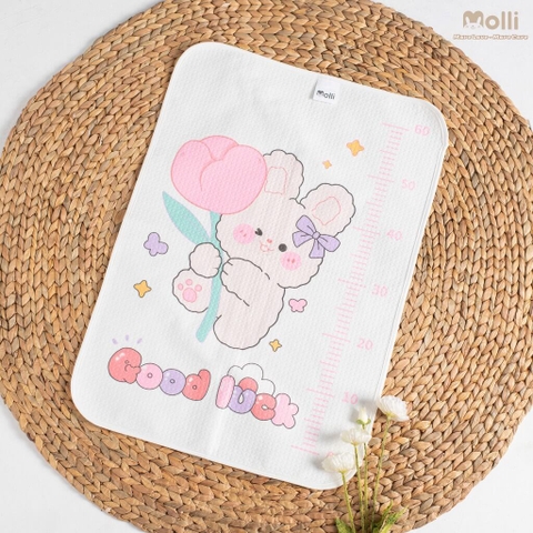 Tấm lót chống thấm 4D Molli