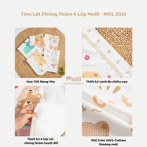 Tấm lót chống thấm 4D Molli