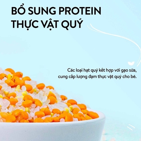 Cháo hạt mix sẵn Mămmy 6M+