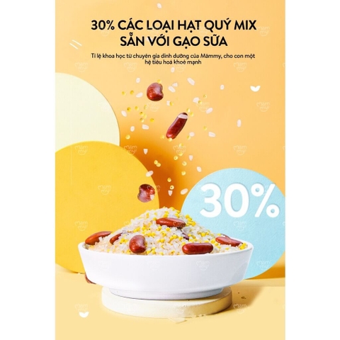 Cháo hạt mix sẵn Mămmy 6M+