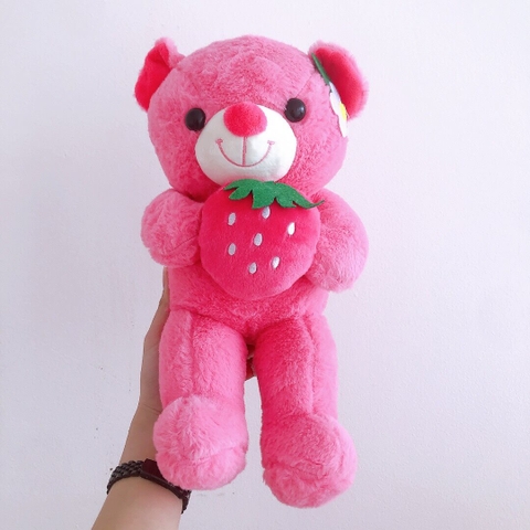 Gấu bông đáng yêu nhiều mẫu
