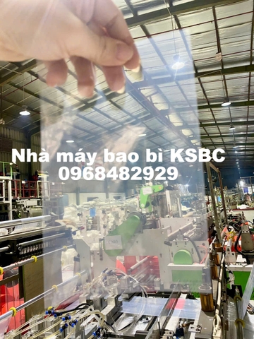 TÚI PE (KHÔNG XẾP HÔNG)