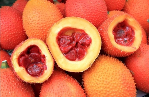 Bí Quyết Nấu Xôi Gấc Bằng Nồi Cơm Điện Thơm Ngon Đúng Chuẩn