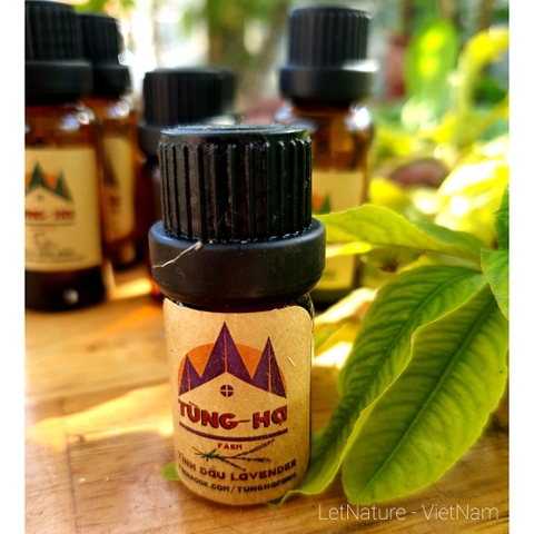 Tinh dầu Oải Hương (Lavender) (10ml) - Tùng Hạ