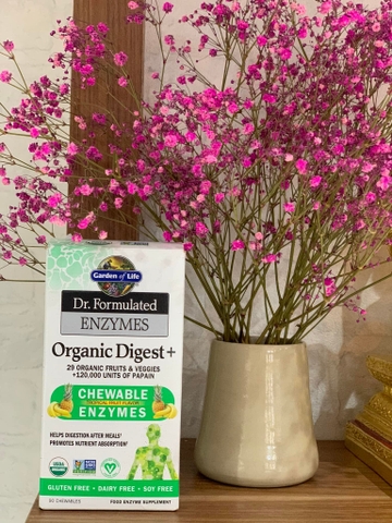 Viên nhai enzymes tiêu hóa hữu cơ Dr. Formulated ENZYMES Organic Digest 90V