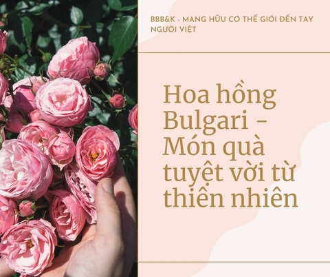 Nước hoa hồng hữu cơ Wooden Spoon 200ml