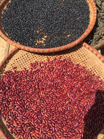 Đậu đỏ tây (kidney bean) vườn rừng - Noom