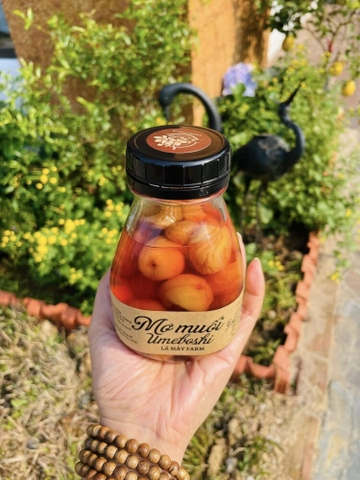 Mơ muối Umeboshi – Lá Mây Farm