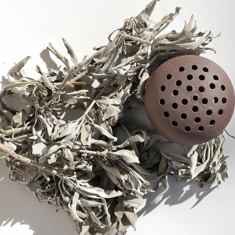 Cành Xô Thơm Trắng (Túi) – White Sage Loose Leaves - Bèo Tấm