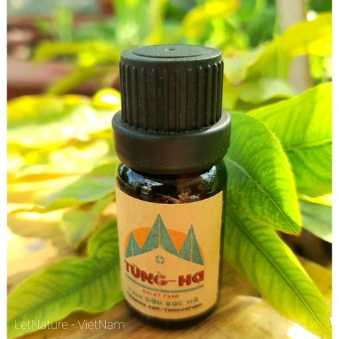 Tinh dầu Bạc Hà (10ml) - Tùng Hạ
