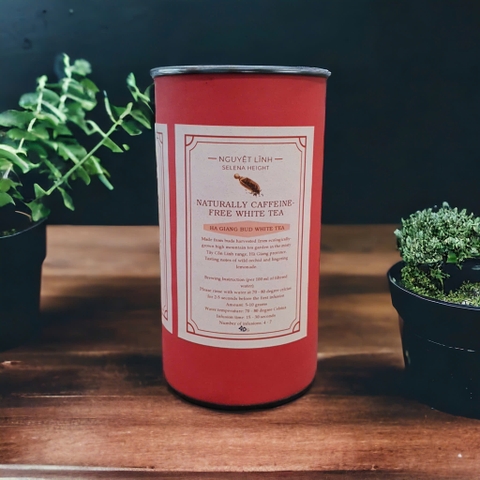 Bạch trà búp không caffein - Hộp 5 túi nhỏ (White tea bud no caffein - Box 40g)