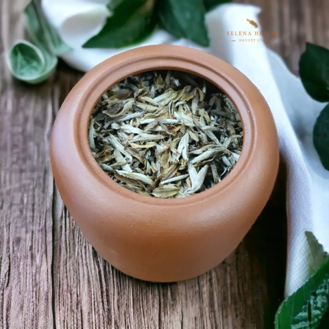 Bạch trà búp không caffein - Hộp 5 túi nhỏ (White tea bud no caffein - Box 40g)