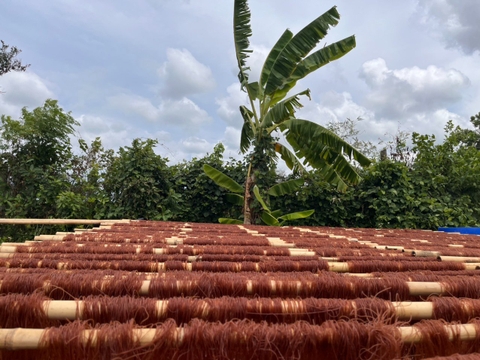 Bún Huyết Rồng Thơm Rằng Thơm Noom (bún Lứt)