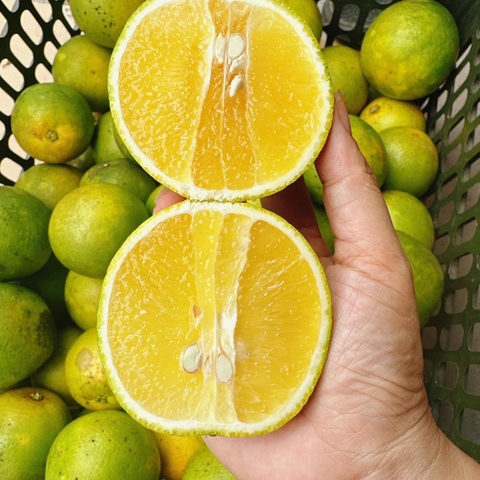 Cam xoàn hữu cơ LetNature