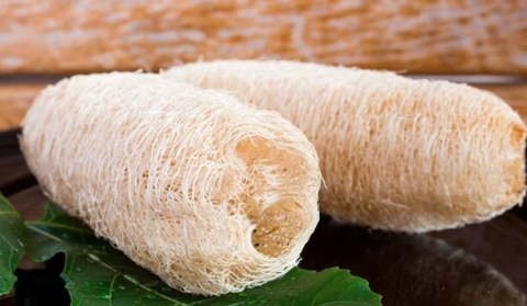 Xơ Mướp khô Noom