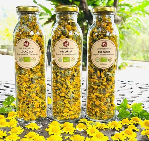 Cúc Cổ Trà Hoa hữu cơ Karose (lọ 20gr) - chứng nhận hữu cơ USDA