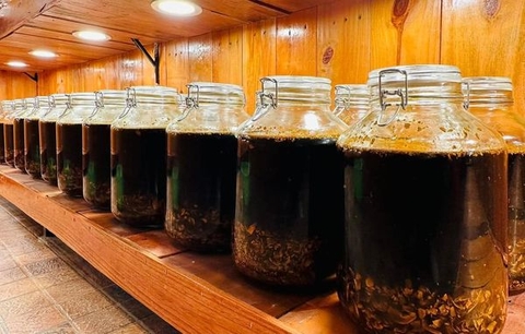 Dầu mù u nghệ hữu cơ 30ml (organic tamanu & turmeric oil) - Karose