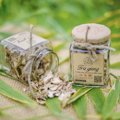 Trà gừng - Trà Gừng Lá Mây Farm