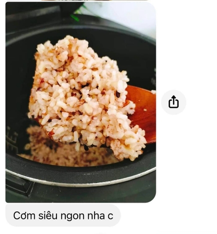 Gạo Dinh Dưỡng Thô Thơm Rằng Thơm 1kg - Noom Farm (vườn sinh thái - gạo lứt đen, gạo lứt huyết rồng, gạo lúa chiêm xát dối)