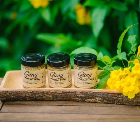 Gừng mật ong & Gừng muối mật ong  - Lá  Mây Farm