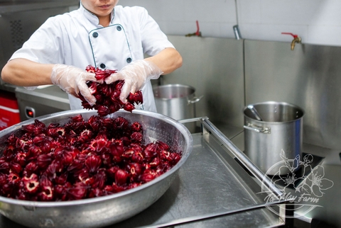 Trà Hibiscus,  Mứt Hibiscus, Siro Hibiscus - Lá Mây Farm