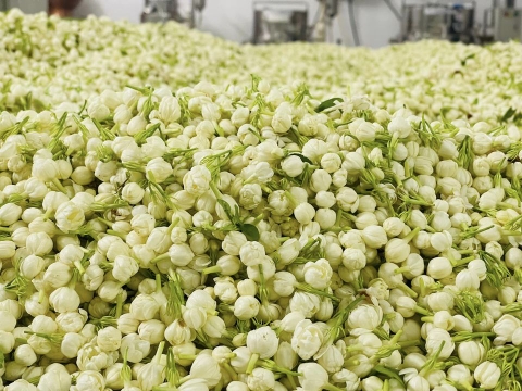 Nước cất hoa Nhài Karose 100ml (Jamine Flower distillate)