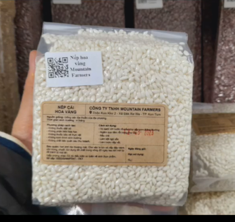 Nếp Cái Hoa Vàng của Smile Field - Mountain Farmers