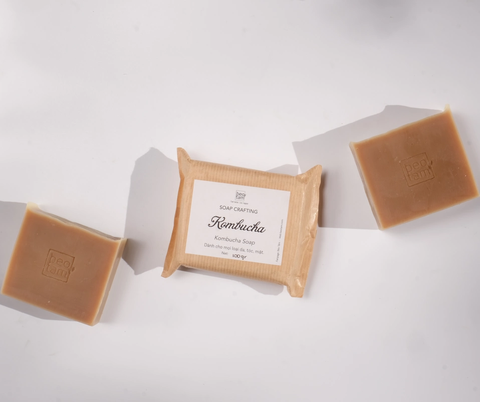 Xà Phòng Kombucha – Kombucha Soap - Bèo Tấm
