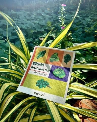 Khăn Lau Vải Xốp Tái Sử Dụng - Reusable Sponge Cloth, Eco friendly