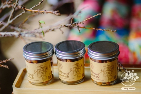 Mơ muối Umeboshi – Lá Mây Farm
