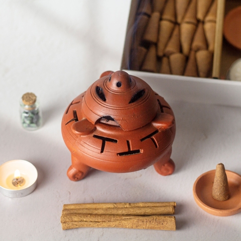 Nụ Gỗ Thơm Ngọc Am Hà Giang (Ha-Giang Weeping Cypress) - Healiverse