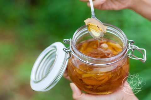 Hồng Sâm Mật Gừng 500ml - Lá Mây Farm