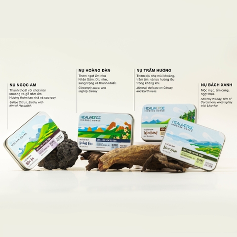 Trầm Bắc Thảo Dược (Hung-Yen Medicinal Agarwood)