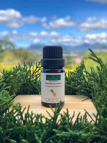 Tinh dầu Sả Chanh (10ml/20ml/100ml) (Lemongrass) - Tùng Hạ