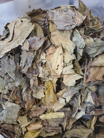 Trà Bancha 3 năm hạ thổ (trà Shan Tuyết cổ thụ Hà Giang) - 100g/200g/500g