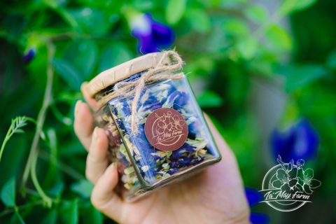 Trà hoa đậu biếc - Lá Mây Farm
