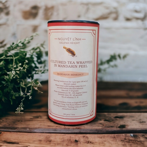 Trà lên men gói trong vỏ quýt rừng - Mandarin Benedict